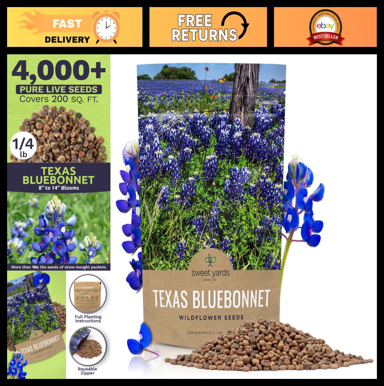 Texas Bluebonnet Wildflower Seeds – 1/4 lb Bulk Pack – 4,000+ Native Seeds for P