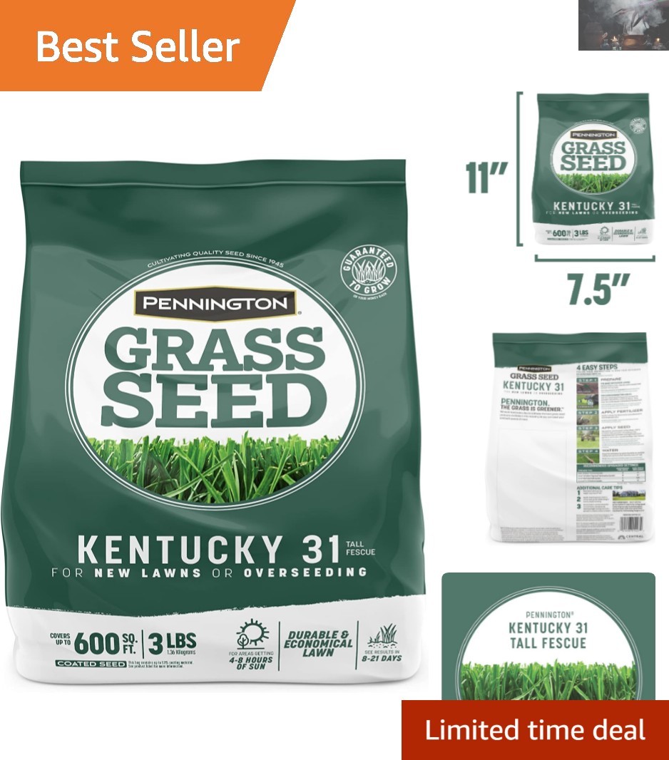 Drought-Resistant Kentucky 31 Tall Fescue Grass Seed – 3 lb for Easy Gardening