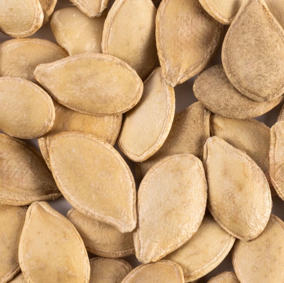 Fresh Table Queen Acorn Squash Seeds, Winter Organic Heirloom, 2026 🇺🇸U.S.A.