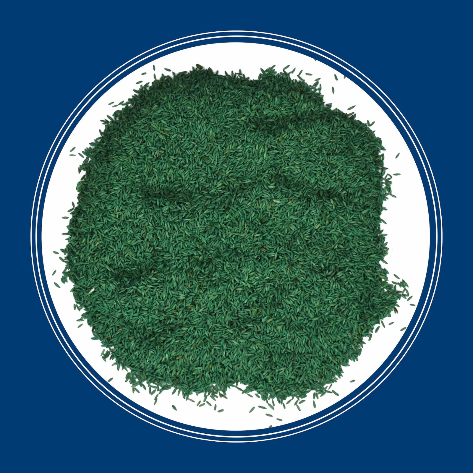 Pennington Kentucky Bluegrass Northern Grass Seed Mix for Sun to Partial Shade,