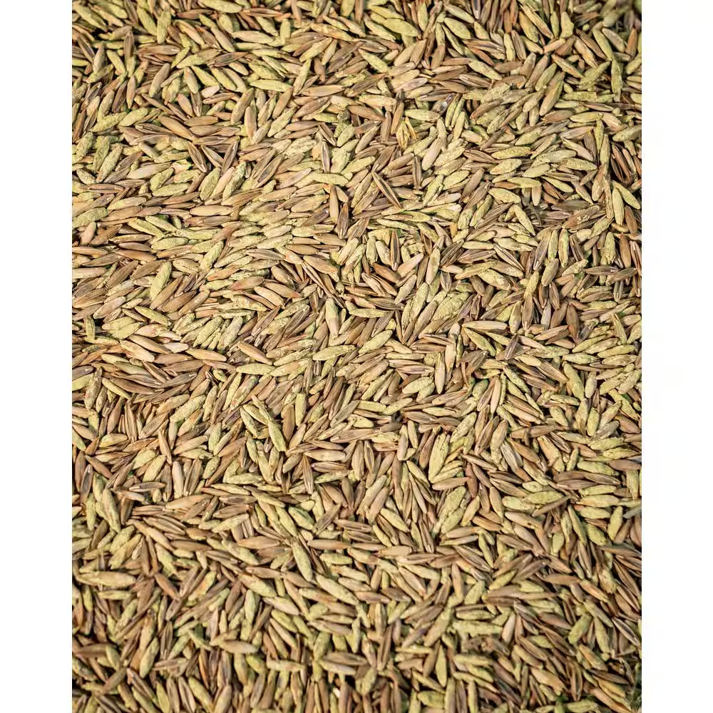 7 Lbs. Tall Fescue Grass Seed