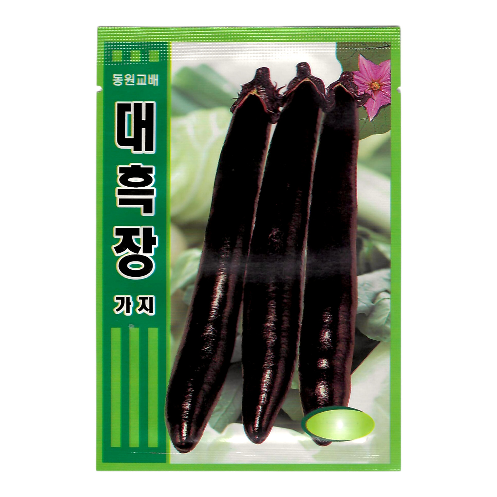 Korean Eggplant Seeds 1 Pack | Deep Purple Long Eggplant (가지)