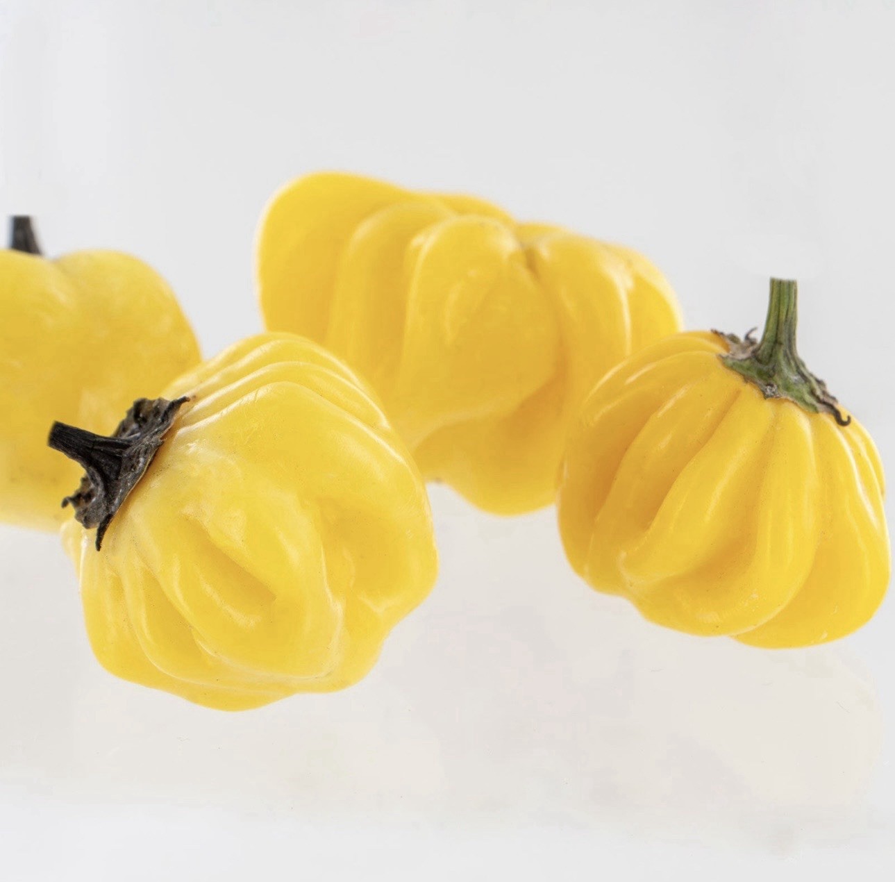 Popular!! 5 Lemon Starburst Pepper Plants!! Ready To Ship