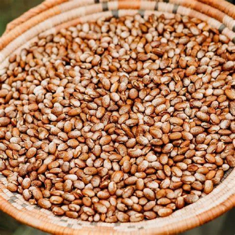 5 Turkey Craw Pole Bean Seeds