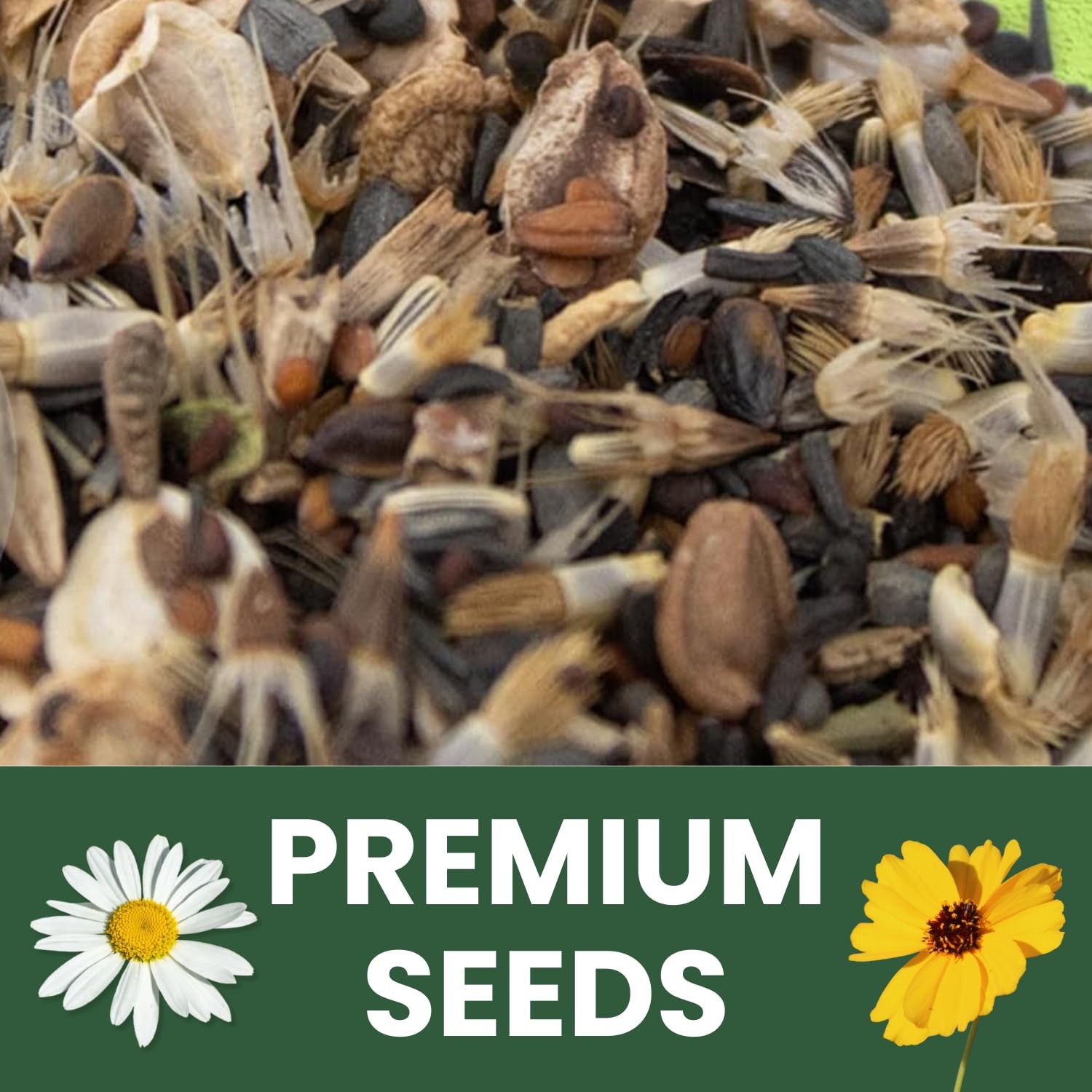 Drought Tolerant Mix – 22,000 Seeds for Planting – 2026 Season – 1 Ounce Pouch
