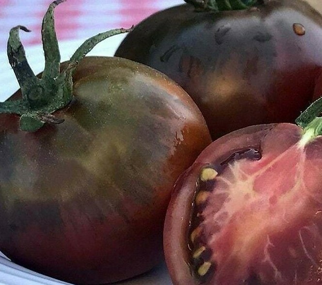 BLACK PRINCE TOMATO SEEDS 50+ INDETERMINATE vegetable GARDEN FREE SHIPPING