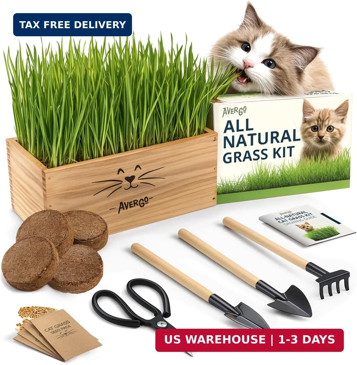 Cat Grass Kit for Indoor Cats – x4 Seed Packets | Cat Grass Seeds with Wooden Pl