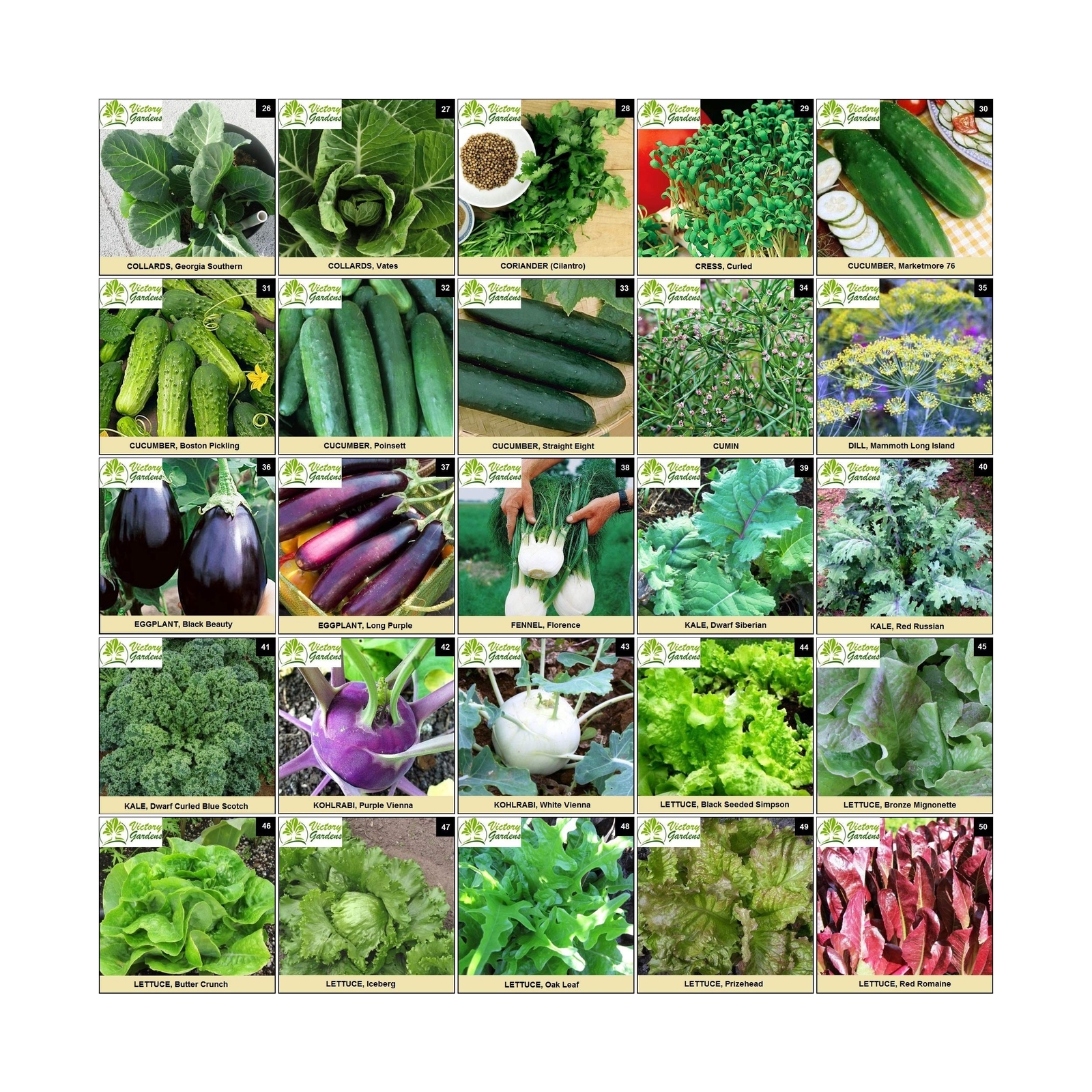 Garden Seeds Vegetable Variety Pack for Planting – Grow 125 Varieties of Heir…