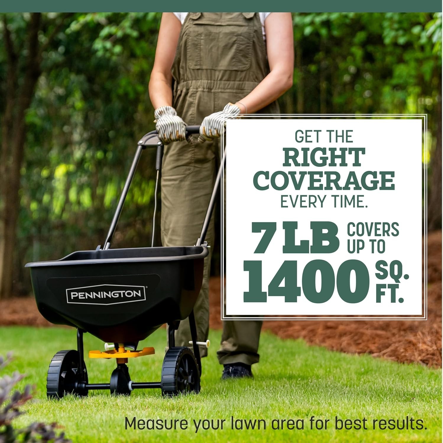 Kentucky 31 Fescue 7 LB Tall Fescue Grass Seed, Grass Seeds for Lawn