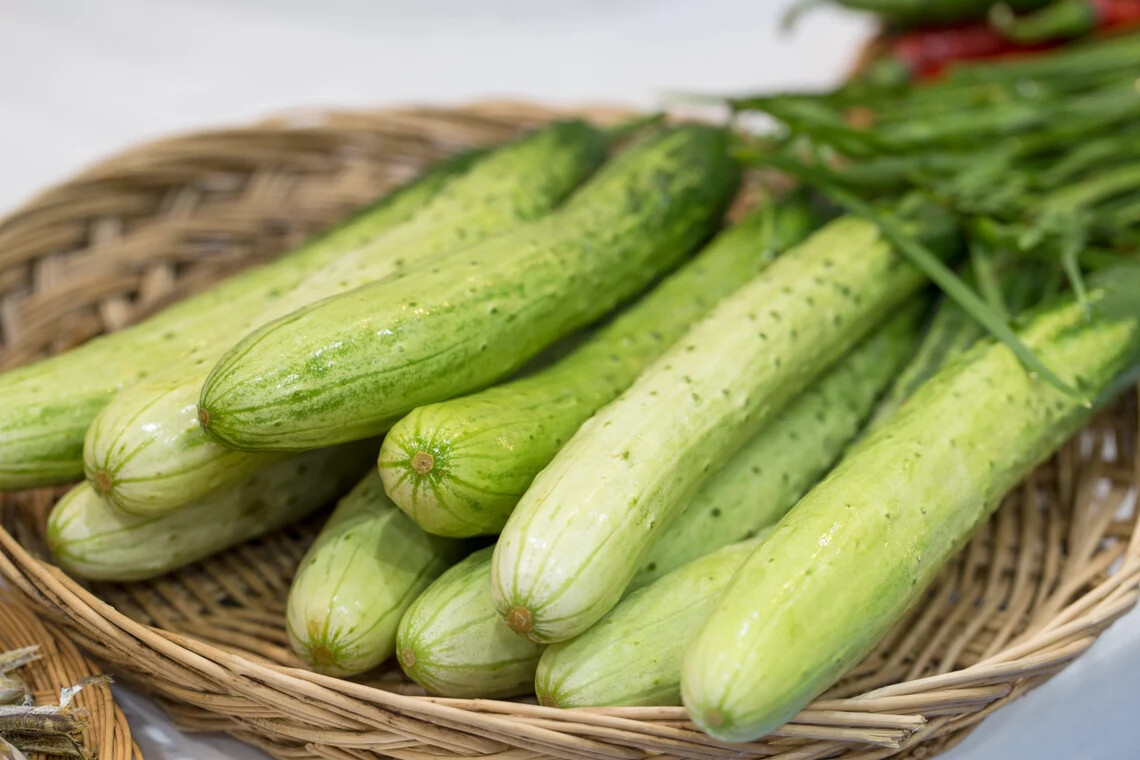 10+ seeds Korean Asian White /Green Sweet Crispy Cucumber Dua Leo Nep Han Quoc