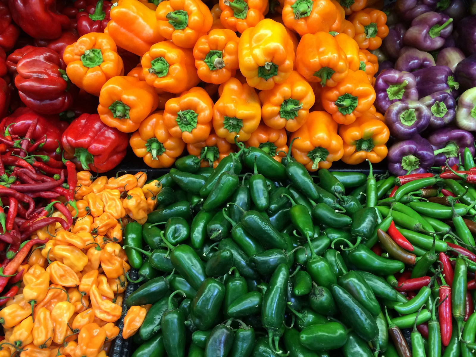 240+ Sweet & Spicy Pepper Mix Seeds —- FRESH
