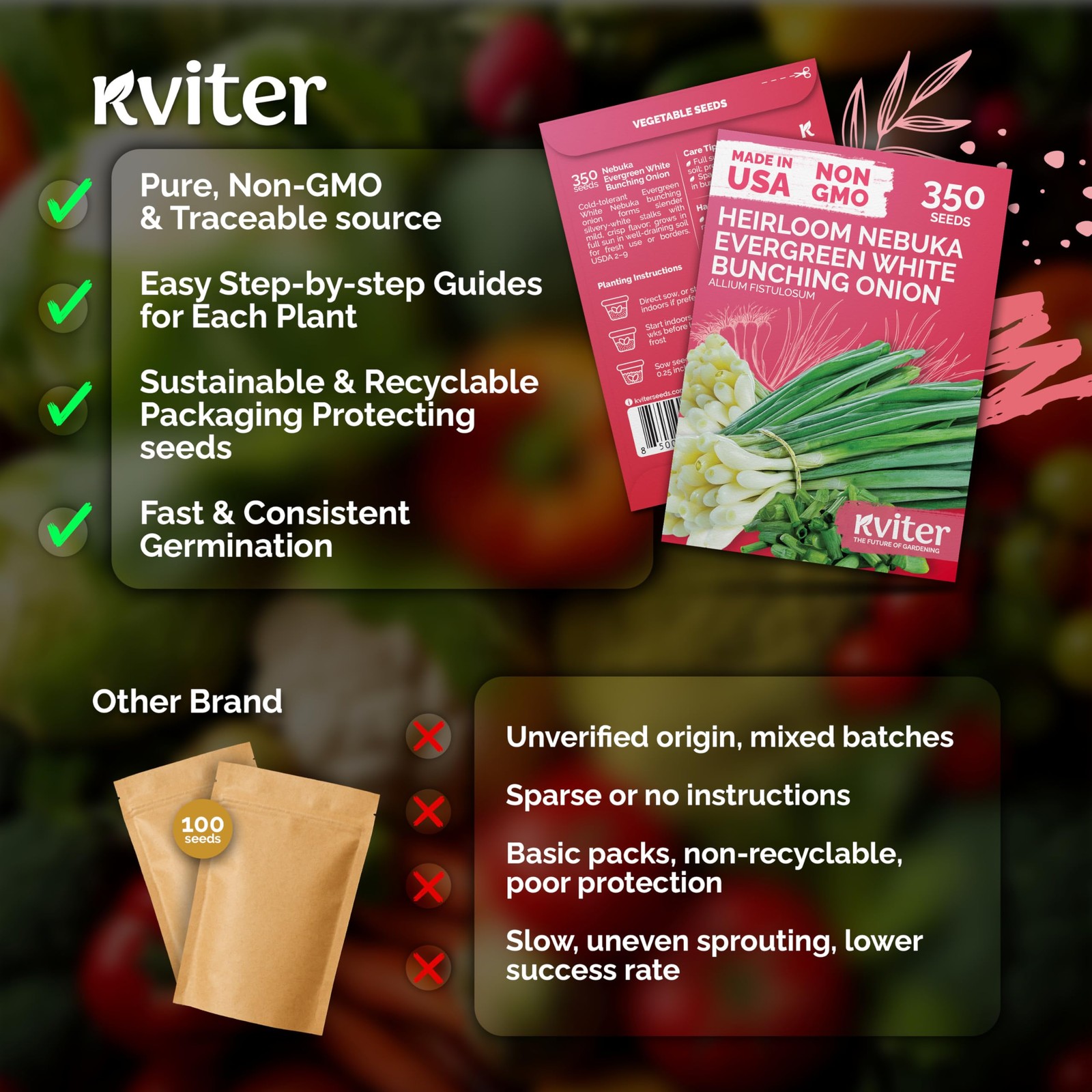 KVITER 350 Evergreen White Nebuka Bunching Onion Seeds (Allium Fistulosum)
