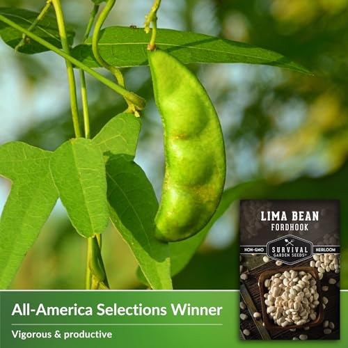 Fordhook Lima Bean Seeds for Planting – Packet with Instructions to Plant and 1