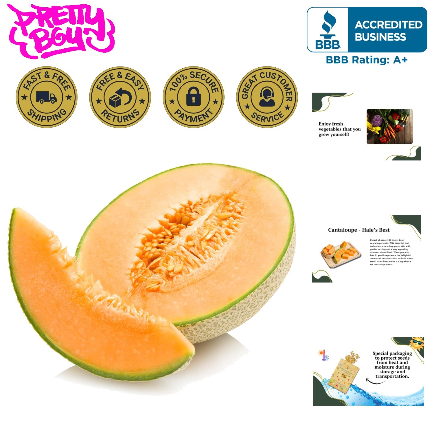 100 Heirloom Cantaloupe Seeds – Non-GMO Hales Best for Luscious Home Gardens