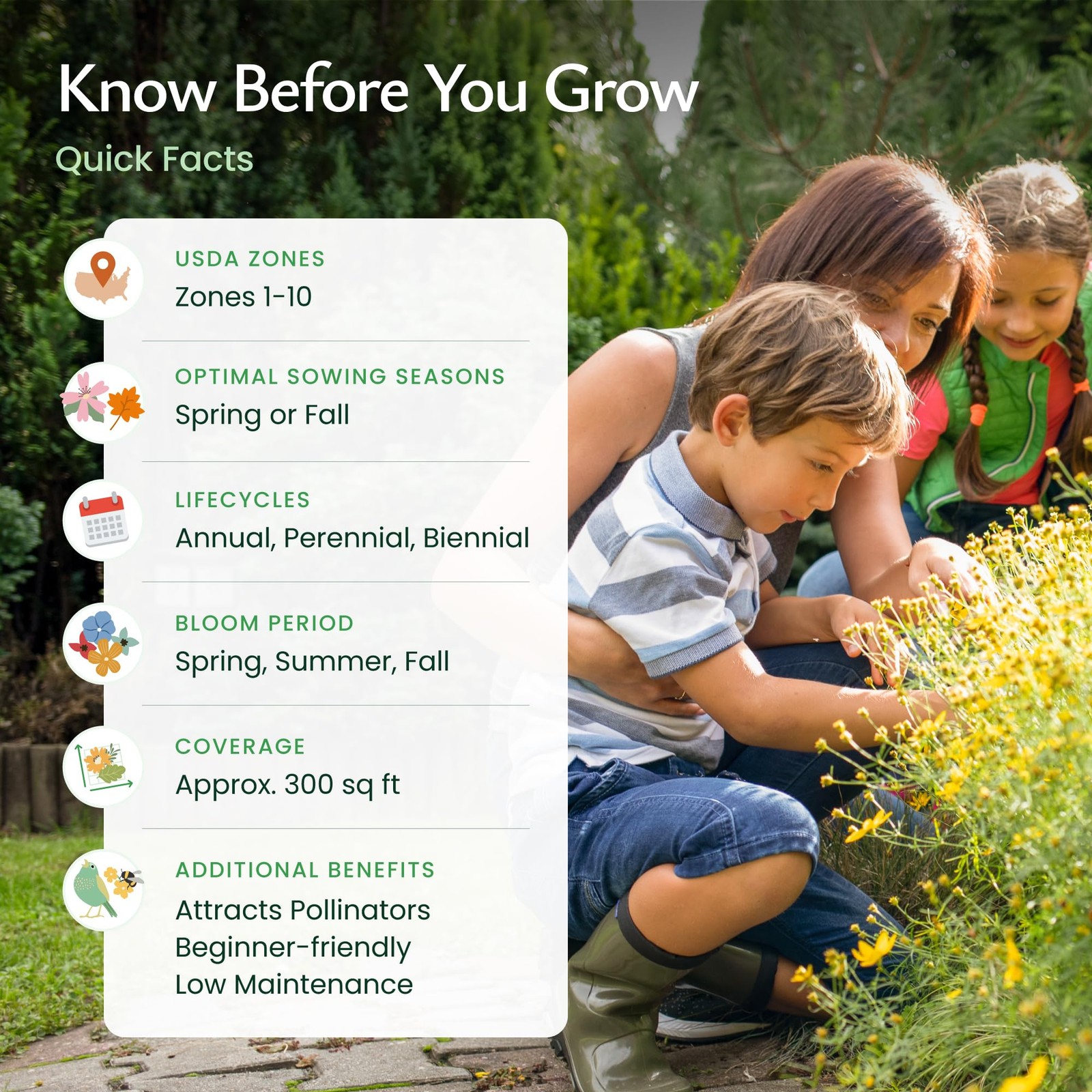 Texas Wildflower Seed Mix with Texas Bluebonnet Seeds, 17 Flower Varieties, 6…