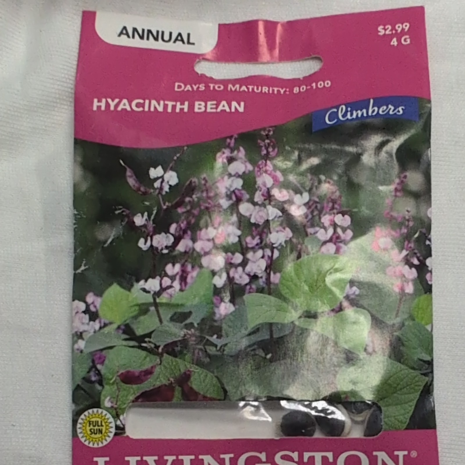 Livingston Hyacinth Bean Annual Climbing Vine Seeds Purple/Green Full Sun Bee
