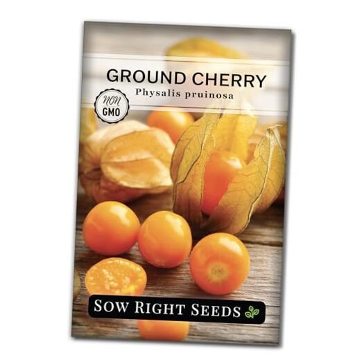 – Ground Cherries Seeds for Planting – Non-GMO Heirloom Packet with 1
