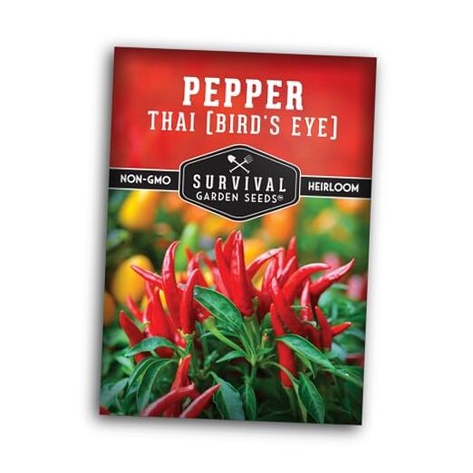 Thai Chili Pepper Seeds for Planting | Bird’s Eye Hot Peppers – Heirloom Non 1