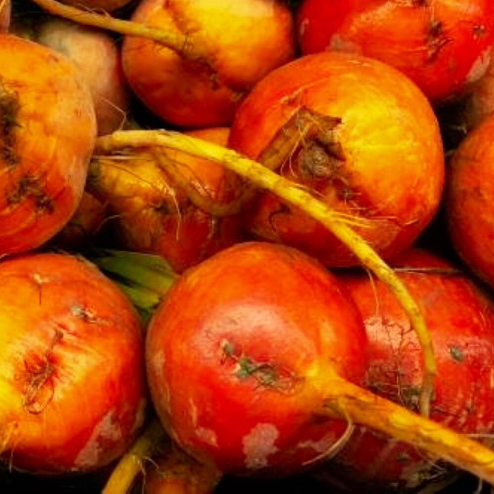 Golden Detroit Beet Seeds | NON-GMO | Heirloom | Fresh Garden Seeds