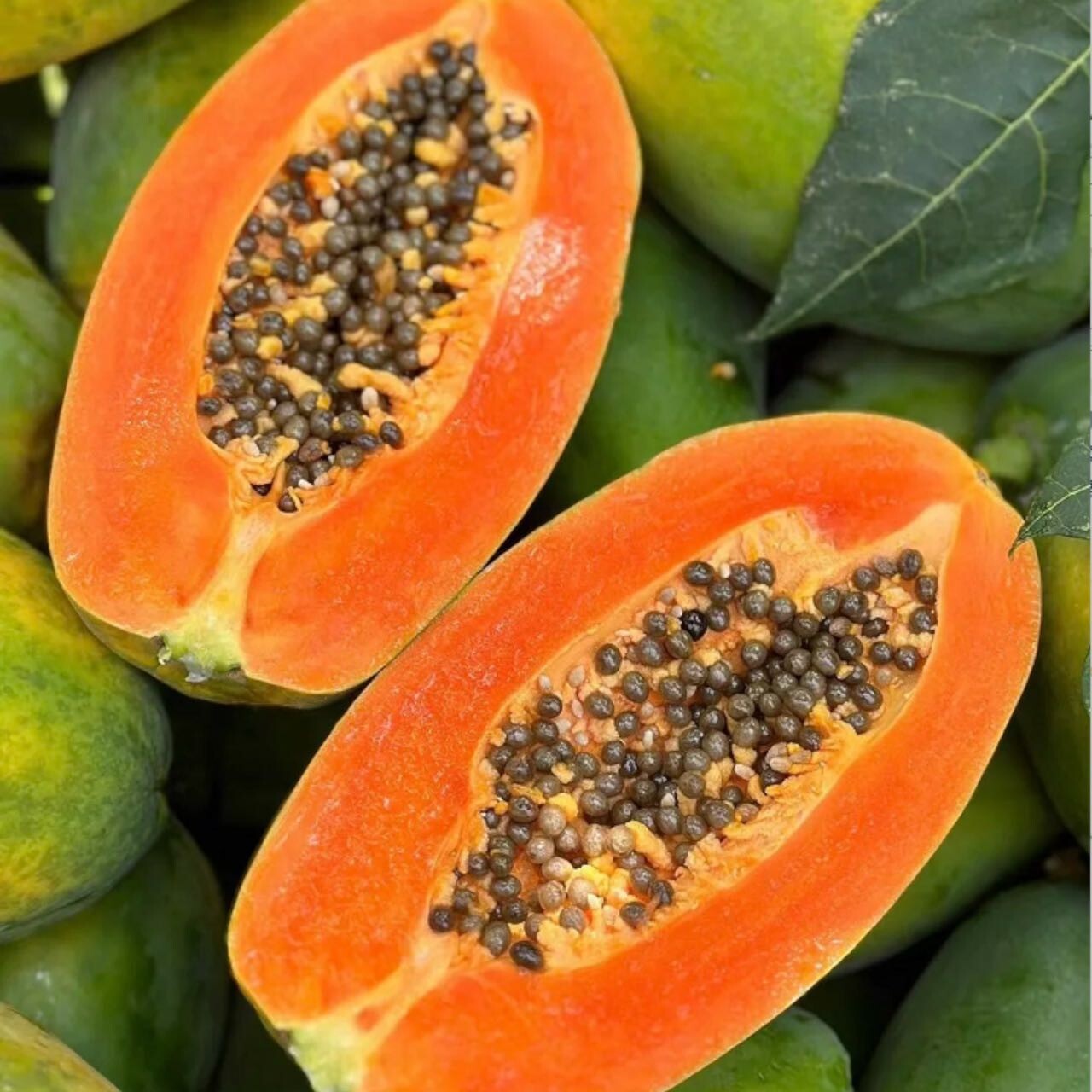 50pcs Red Heart Creamy Papaya Seeds – The Best of Papayas for Your Home Garden