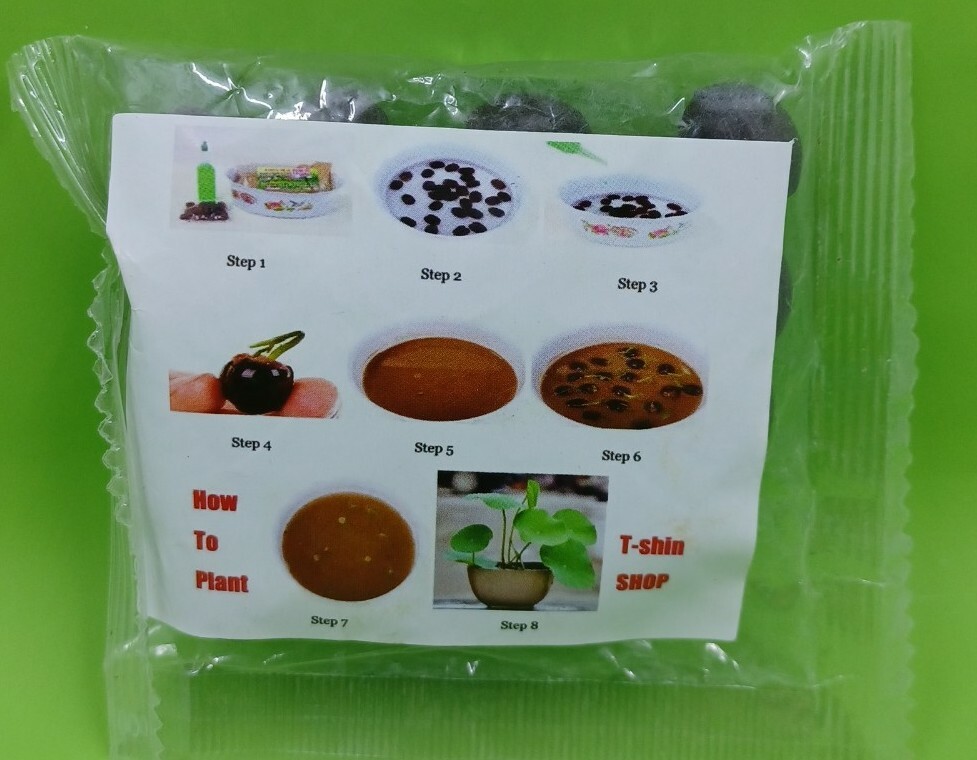 Bonsai Lotus Flower Seeds. Around 20 seeds. Colors unknown.