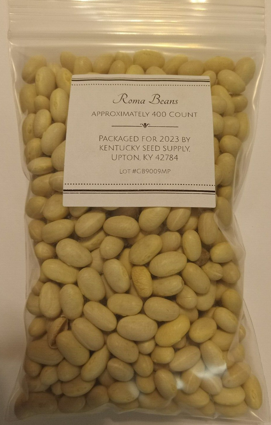 Roma Green (Bush) Beans. Approximately 400 seeds