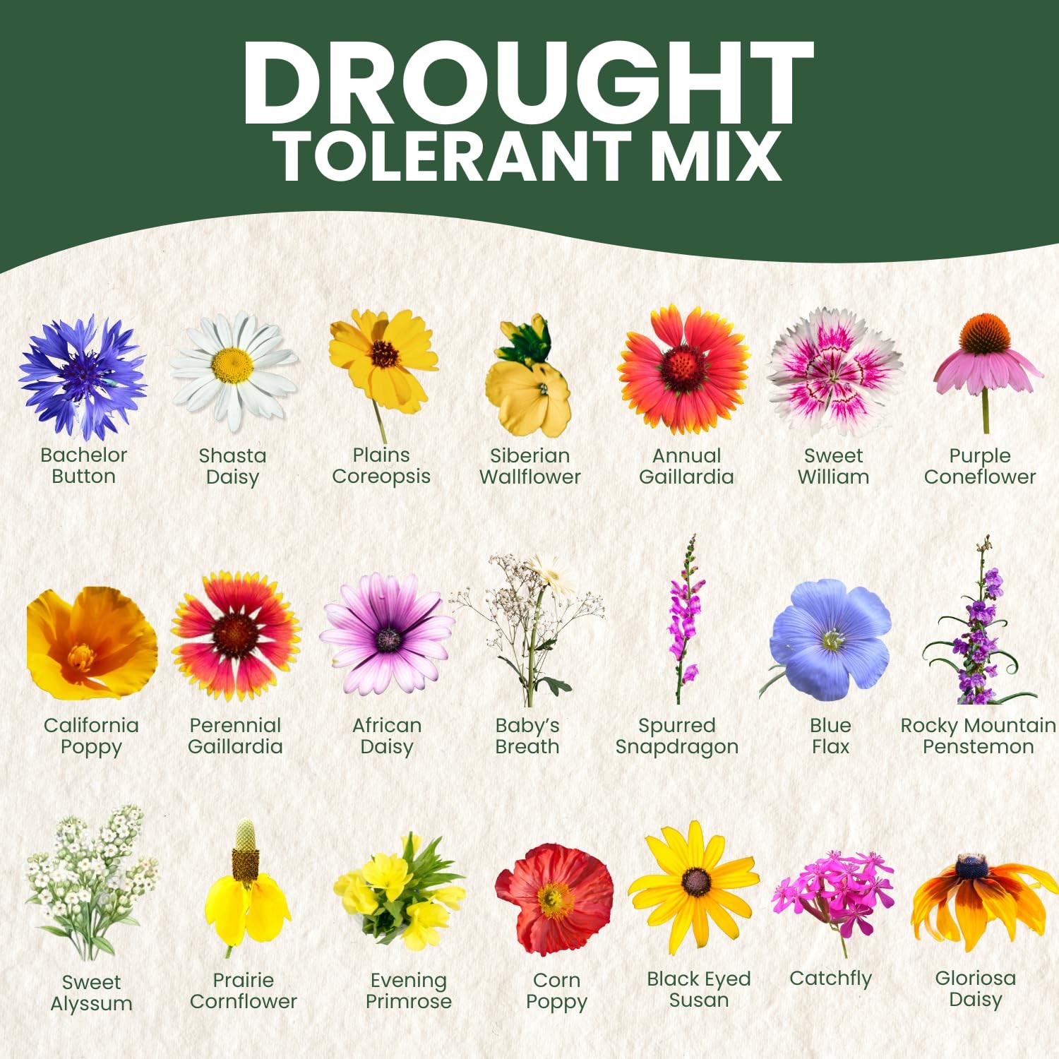Drought Tolerant Mix – 22,000 Seeds for Planting – 2026 Season – 1 Ounce Pouch
