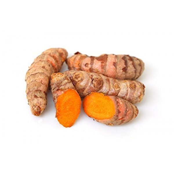 Fresh Turmeric Roots 8 PCs Curcuma Longa Ready To Plant