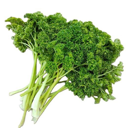 Forest Green Parsley Seeds, NON-GMO, Heirloom Free Shipping!