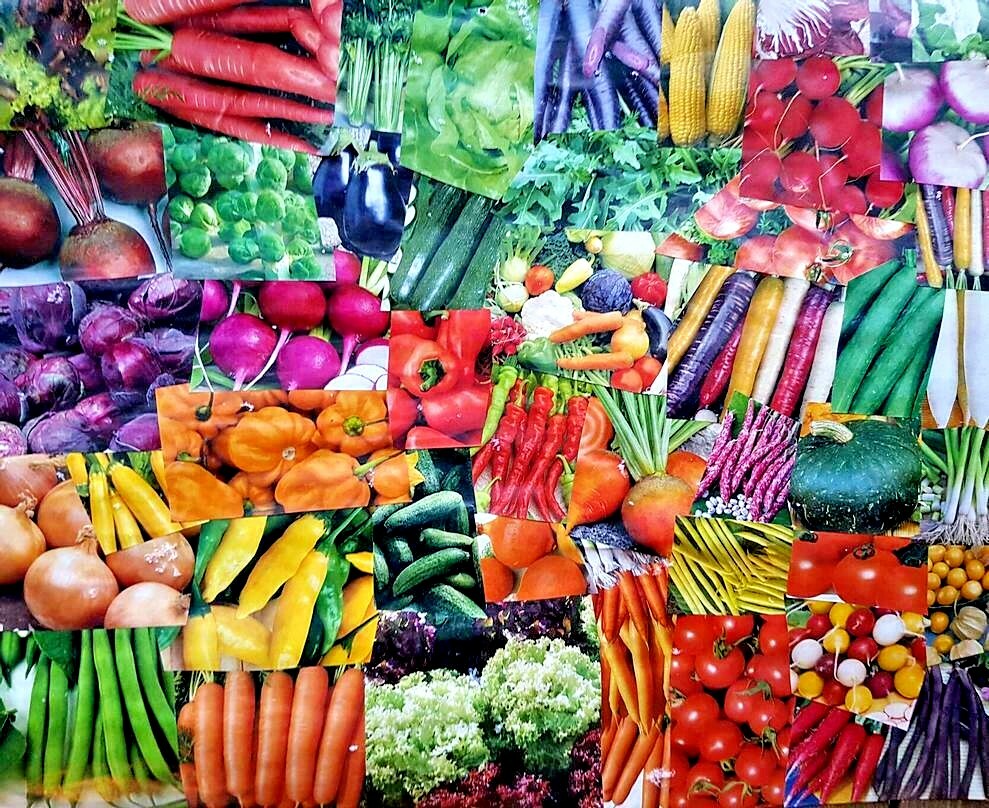 #3 Heirloom Vegetable Seeds 6 Variety Garden Set Emergency Survival NON-GMO 150+