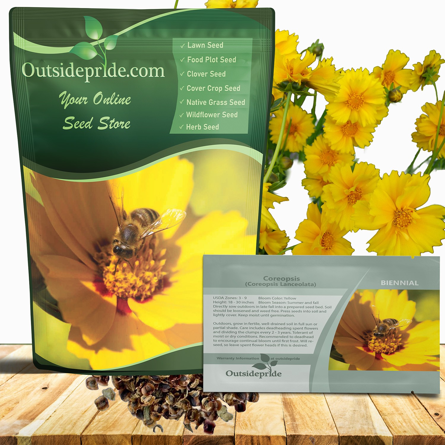 5000 Seeds Yellow Lanceleaf Coreopsis Wild Flower Seed For Planting |