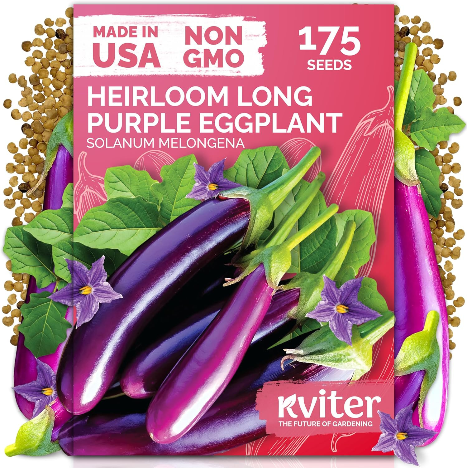 175 Long Purple Eggplant Seeds (Solanum Melongena) – Asian Eggplant, Dark Purple