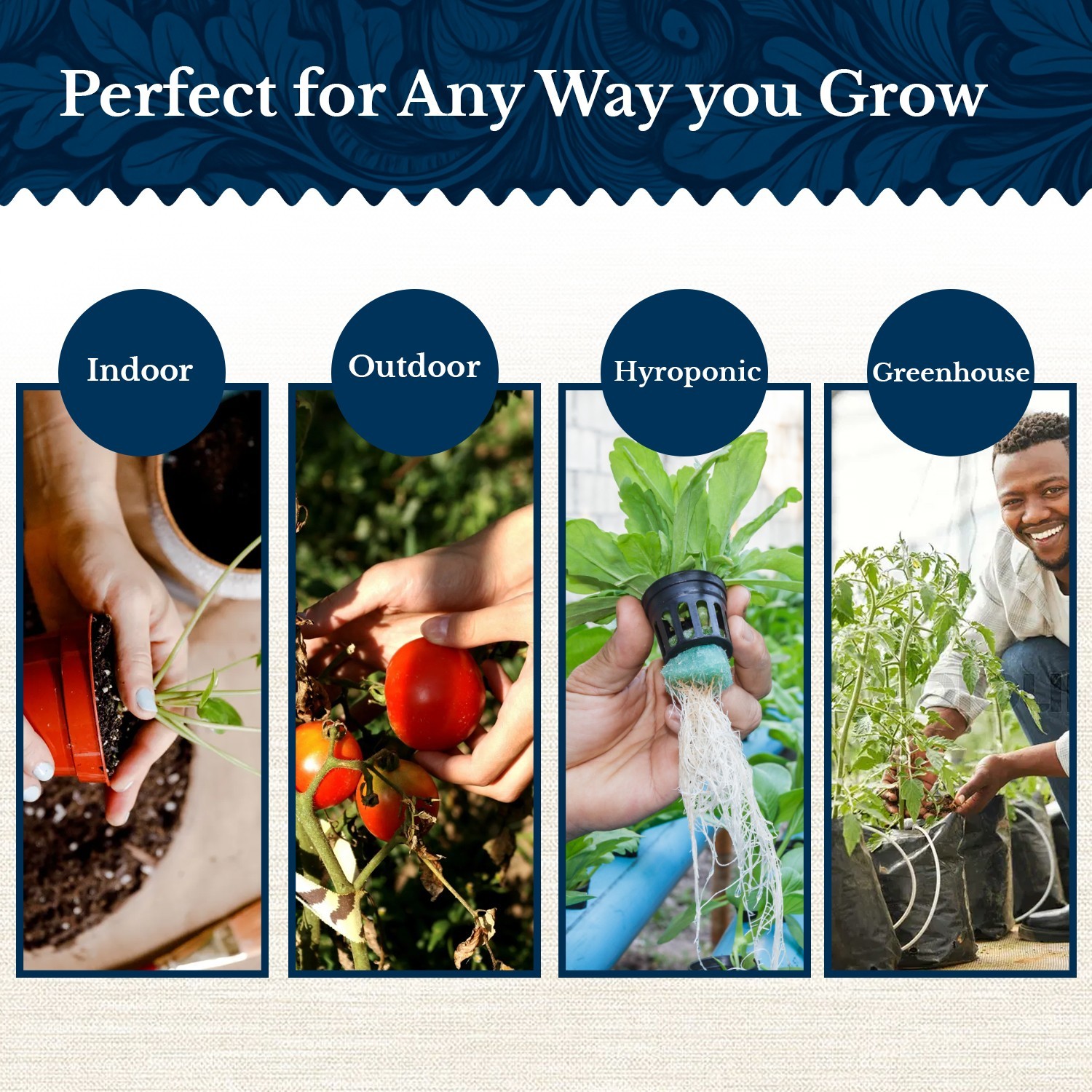 20 Vegetable Seeds Variety Pack Indoor Outdoors Vegetable Seeds