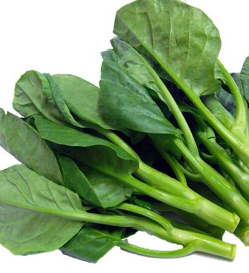 200+Chinese Kale Seeds Kailaan Chinese Broccoli Gai Lan Choi vegetable USA