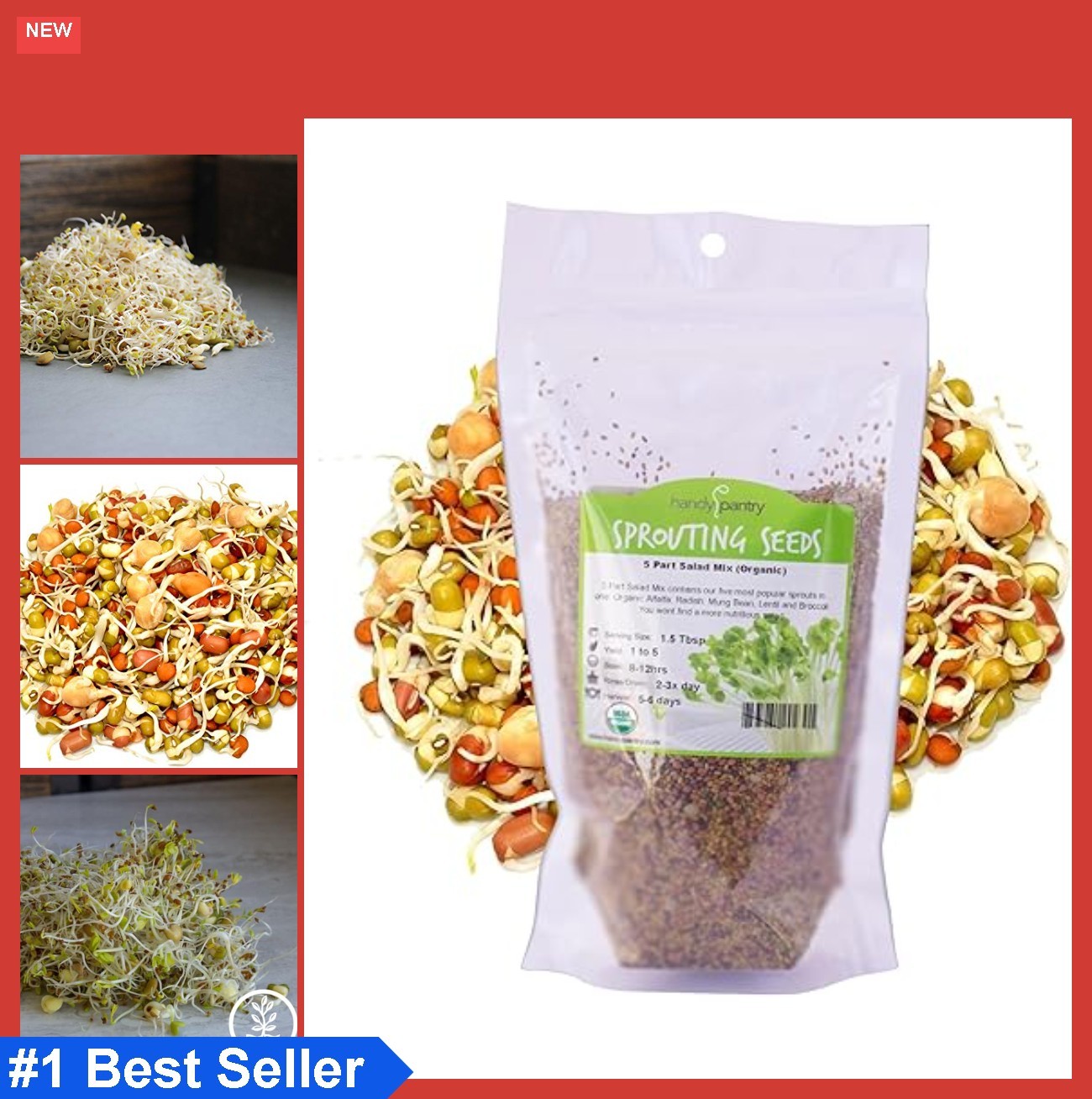 Organic Salad Sprouting Mix 16 Oz Non GMO Alfalfa Broccoli Lentil Mung Bean