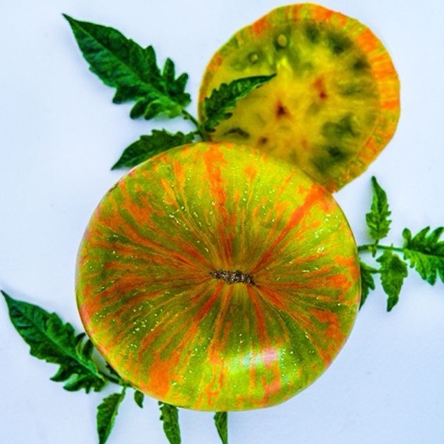 TOMATO BERKELEY TIE DYE GREEN 10+ Pcs Seeds August 2025 Harvest US Family Farm