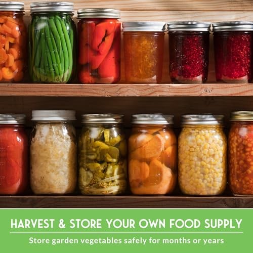 Homesteader Seed Vault – 50 Packs of Non-GMO Heirloom Vegetable, Homesteader 50