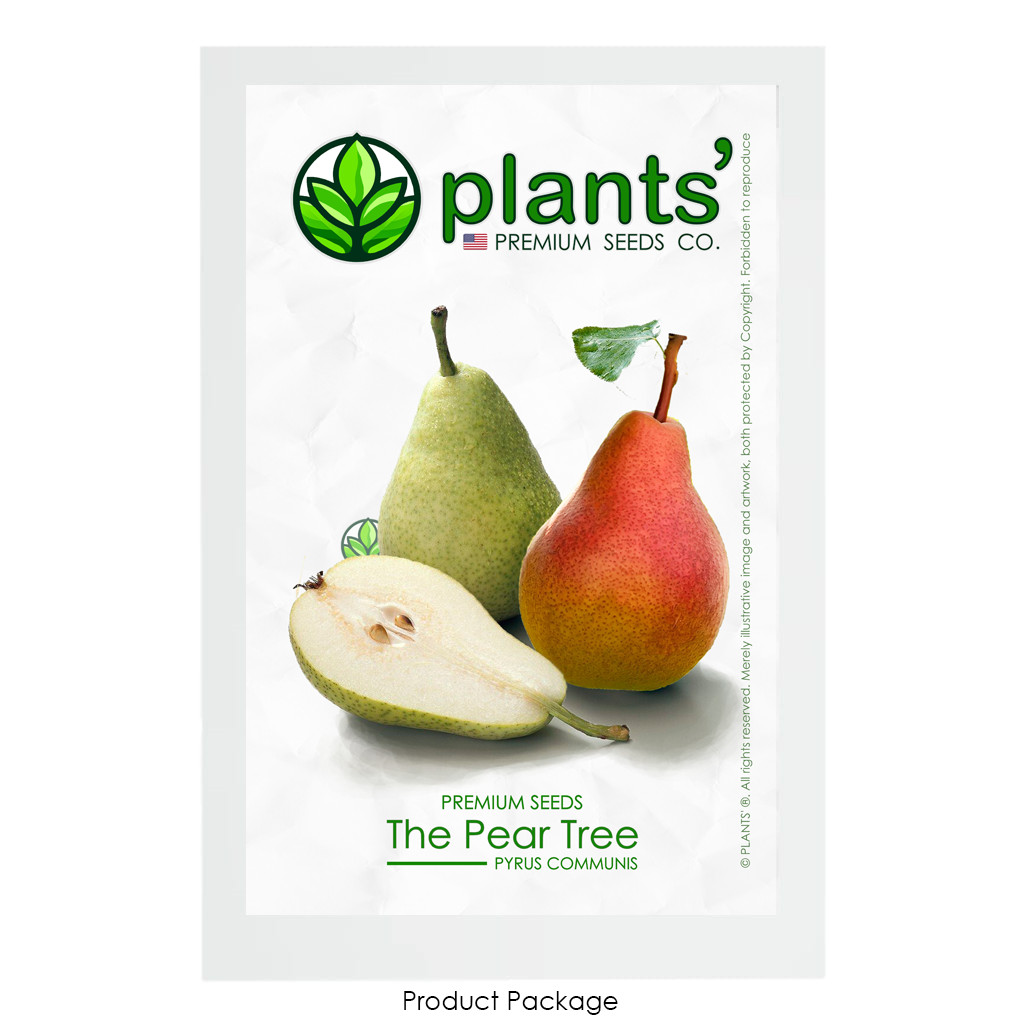 The Pear Tree | Premium Seeds | Pyrus communis ‘Fruit’ | Plants’®