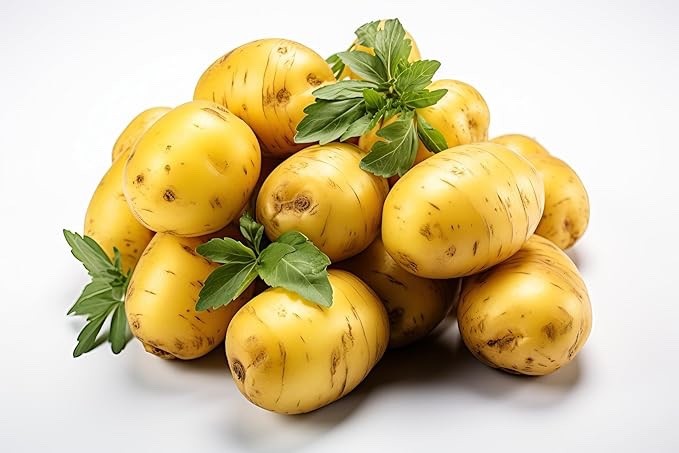 Yellow Santina Seed Potatoes for Planting | Early Season (3 Pounds)