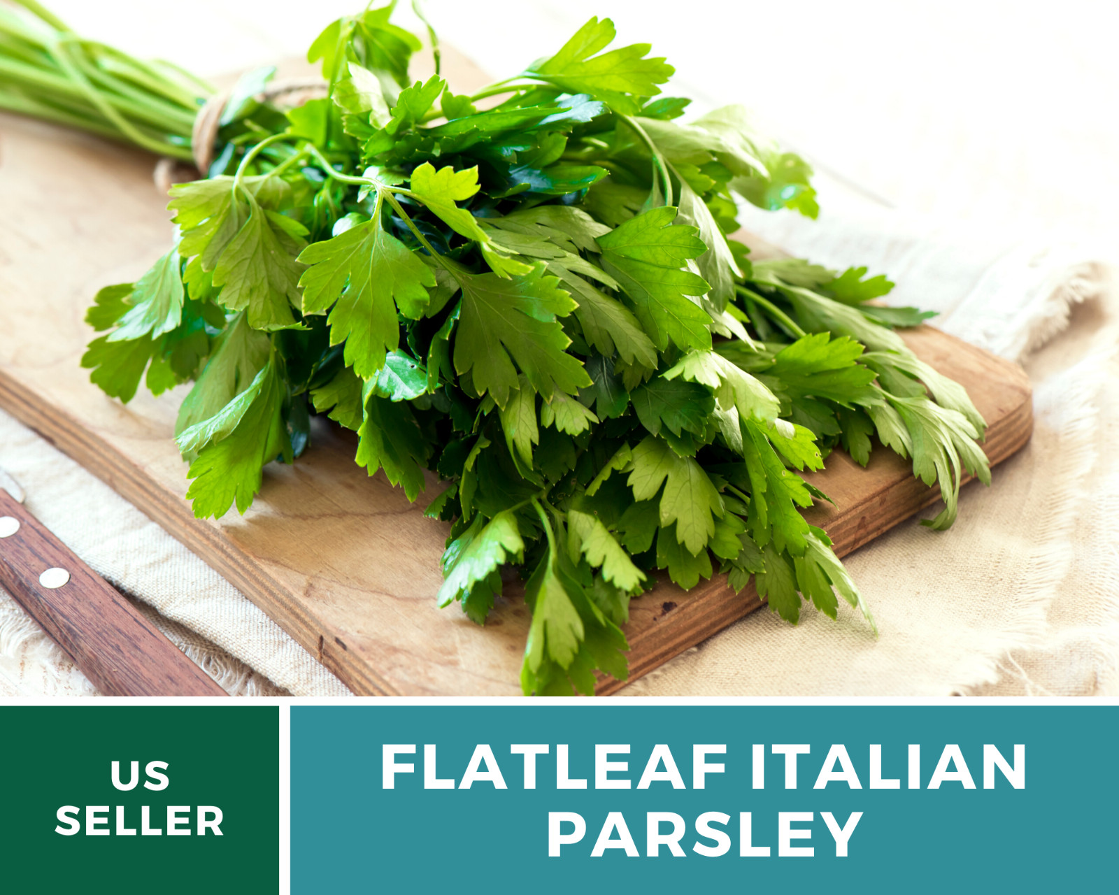 Parsley, Italian Flat Leaf – 200 Seeds – Non GMO