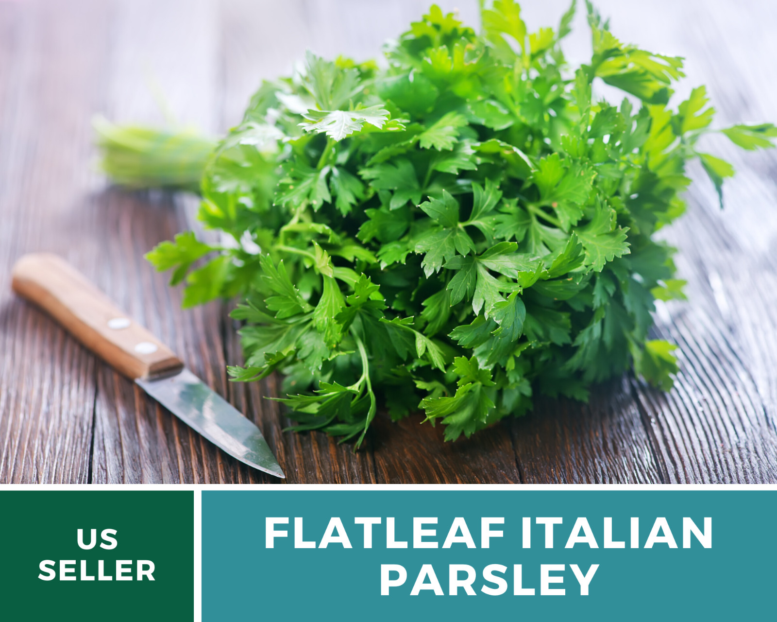 Parsley, Italian Flat Leaf – 200 Seeds – Non GMO