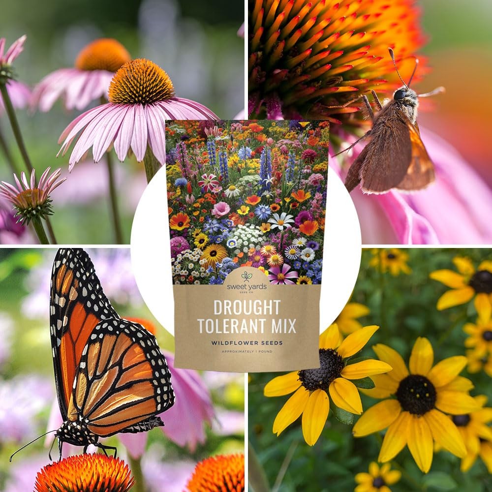 Drought Tolerant Wildflowers Mix – Bulk 1 Pound Bag – Over 120,000 Open Polli…