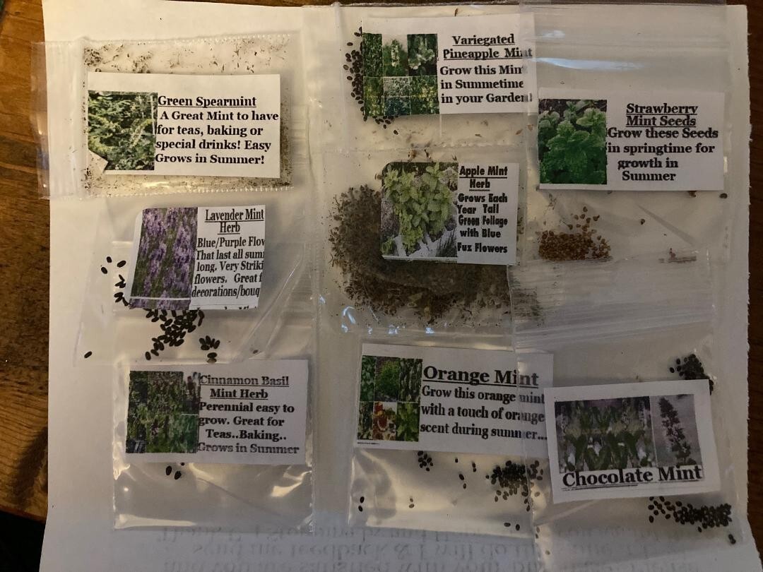 8 Seed Mints: Spearmi/Cinnm/Choc/Strawber/Lavendr/Apple/Orange/Pineapple #25 USA
