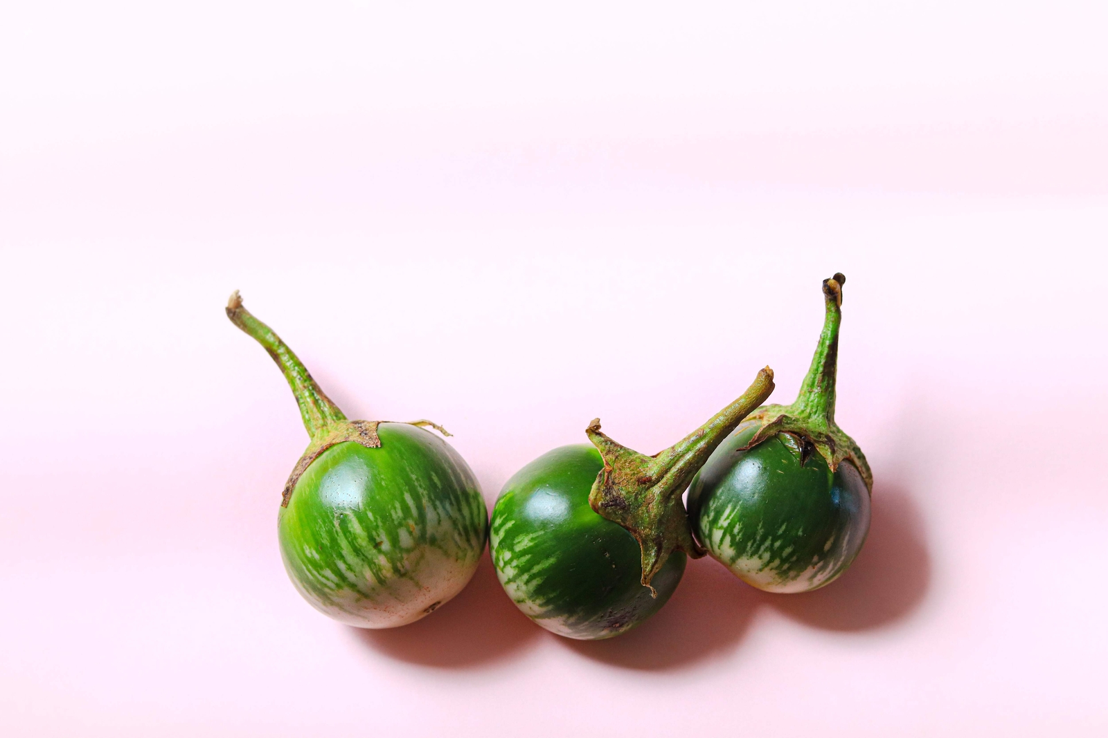 10 KERMIT EGGPLANT Green White Thai Solanum Melongena Fruit Vegetable Seeds