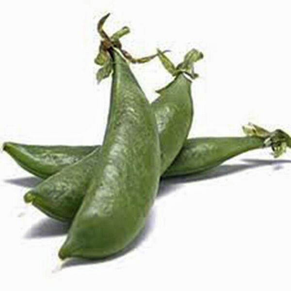 PEAS, SUGAR DADDY SNAP, HEIRLOOM, 500+ SEEDS, GREAT FOR SALADS / SNACKS