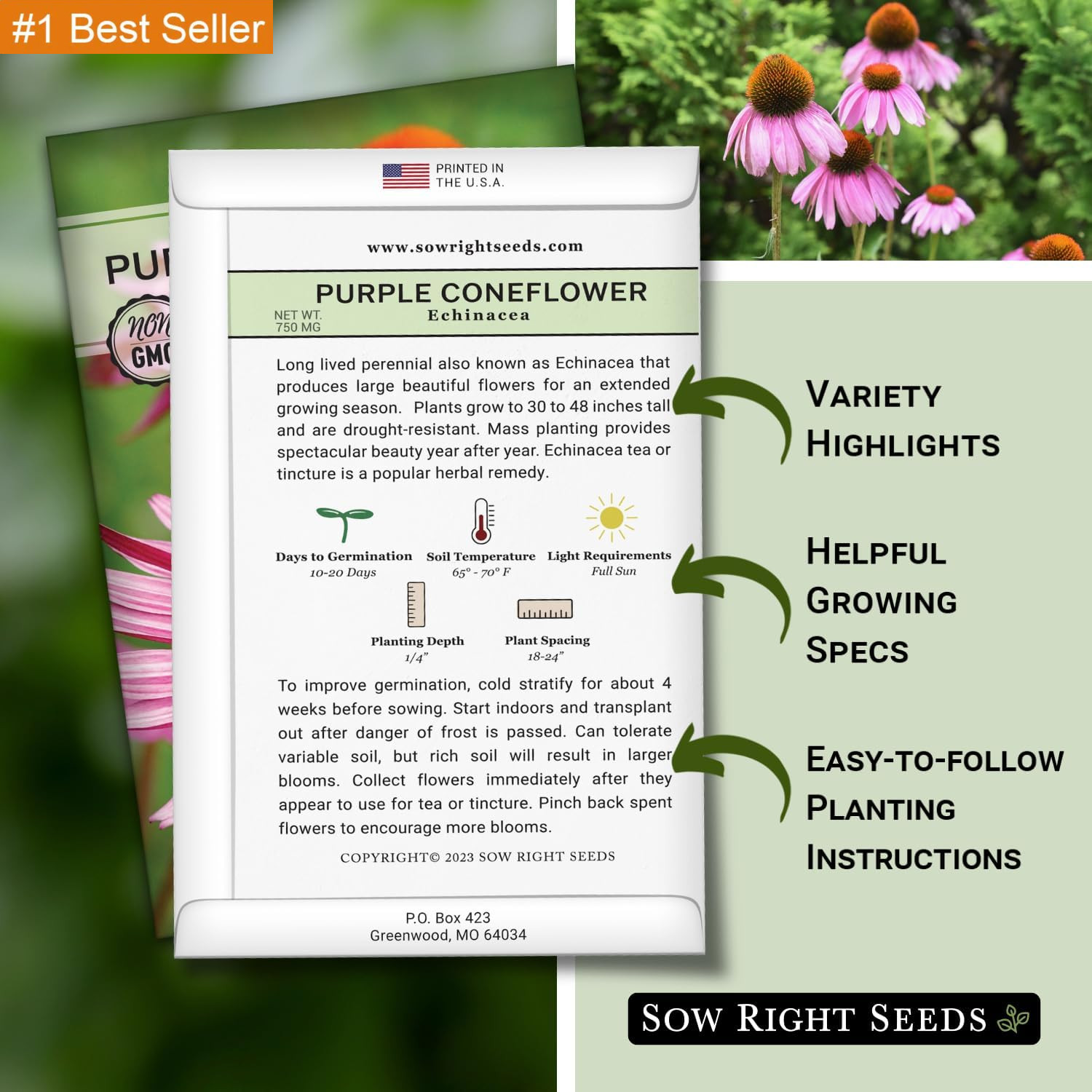 Sow Right Seeds – Purple Coneflower/Echinacea Flower Seeds for Planting – Non-Gm