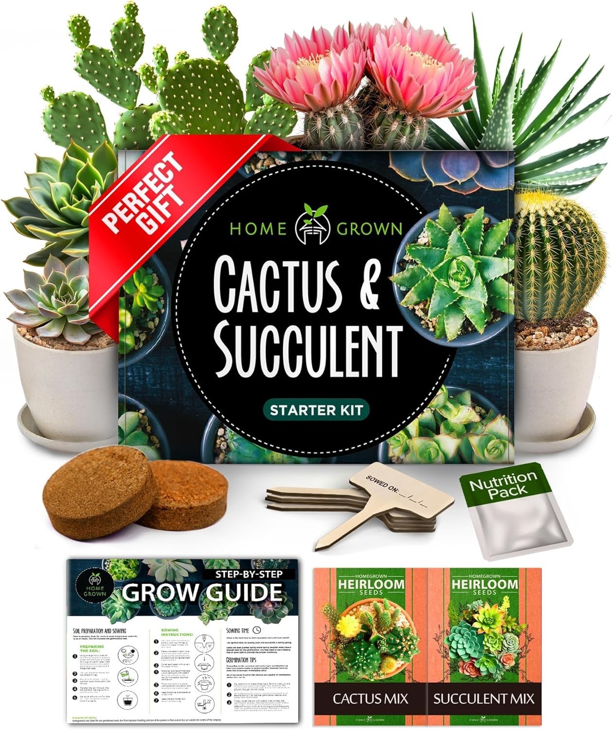 Indoor & Outdoor Cactus & Succulent Starter Kit – All-in-One Gardening
