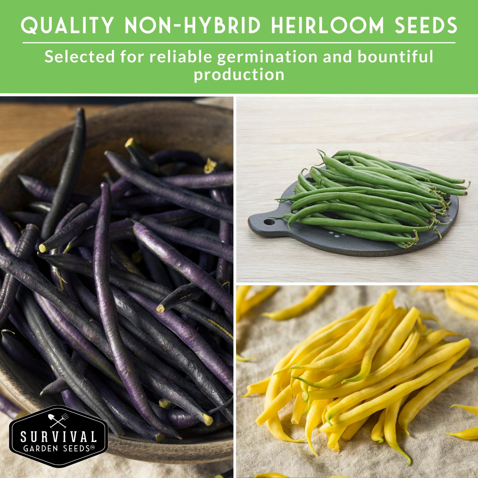 Bush Bean Seeds for Planting – Survival Garden Seeds | 4 Heirloom Snap Bean V…