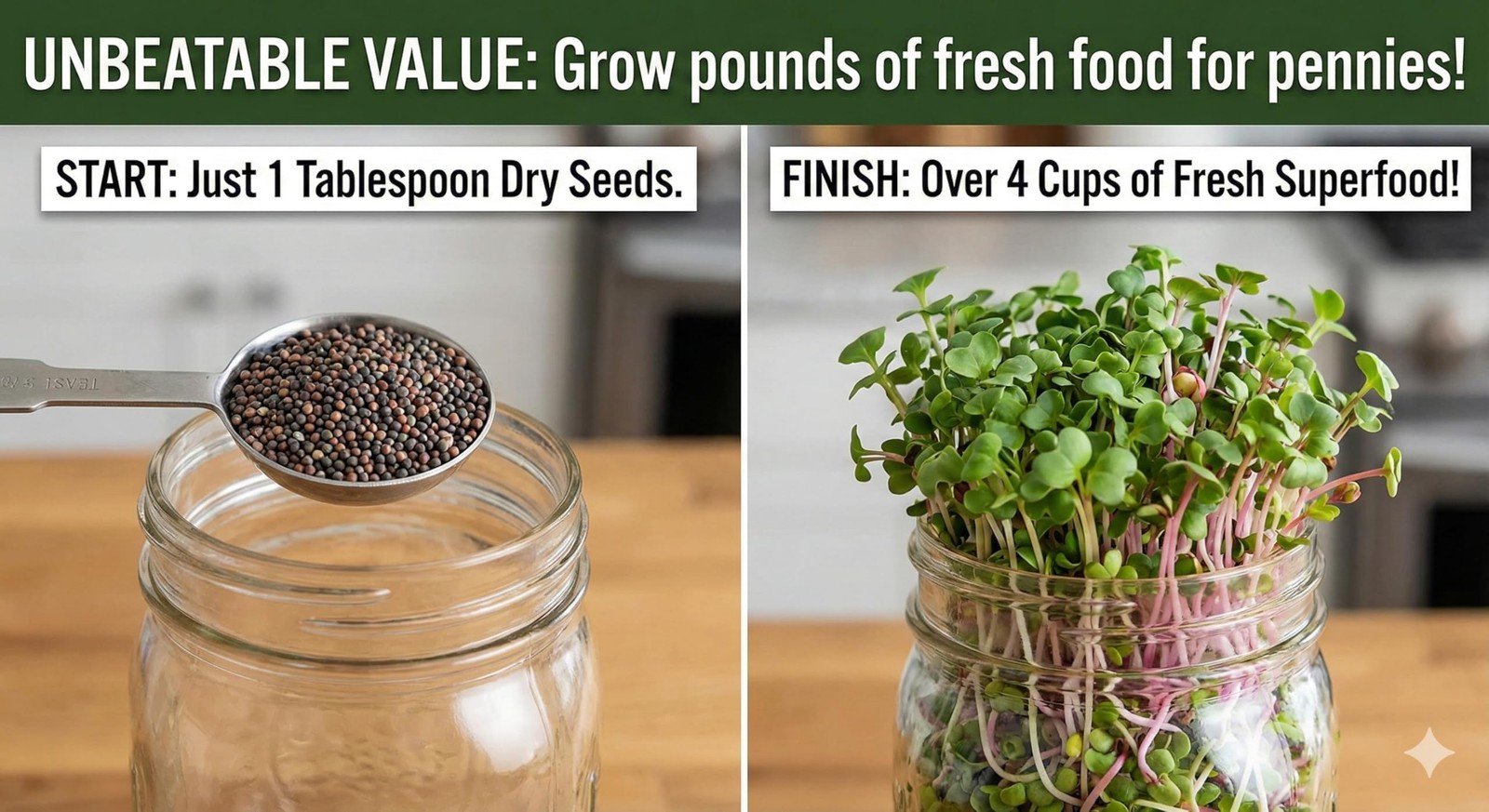 Broccoli and Friends Sprouting Seed Mix, One Pound