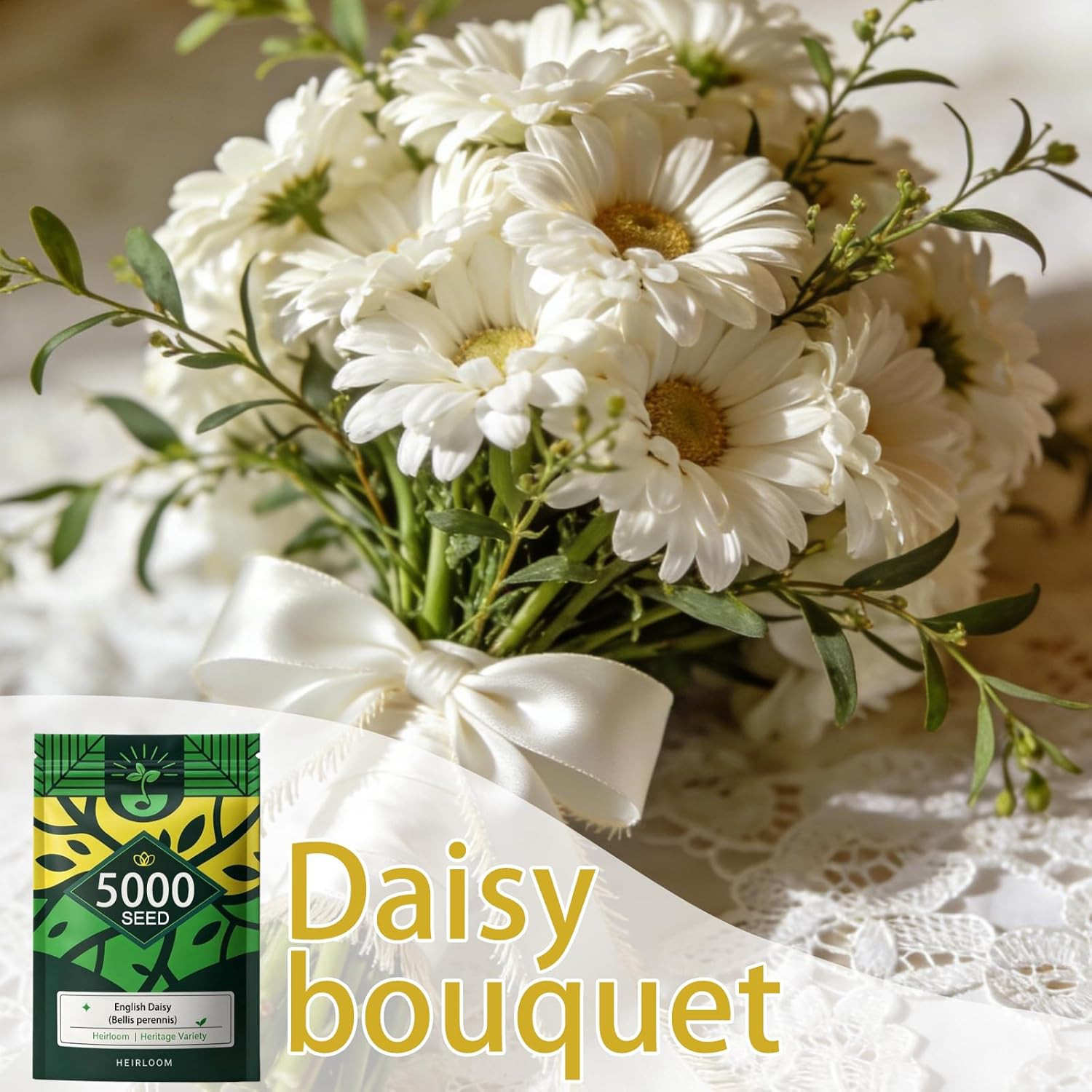 English Daisy Seeds for Planting, Tiny Daisy Buttons (Bellis Perennis)​, 5,000 C